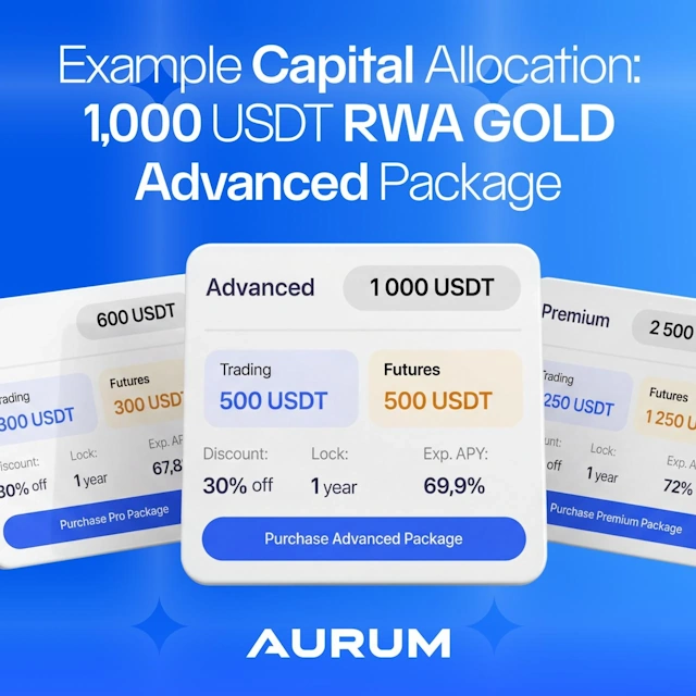 Example of AURUM Gold (XAU) package showing capital allocation, returns, and 1000 USDT tokenized gold investment breakdown